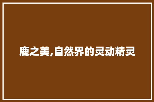 鹿之美,自然界的灵动精灵