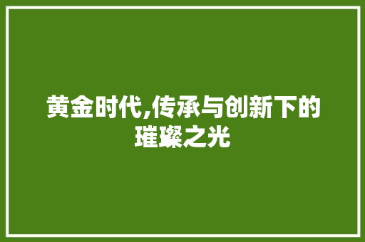 黄金时代,传承与创新下的璀璨之光