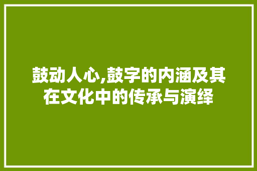 鼓动人心,鼓字的内涵及其在文化中的传承与演绎 工作类