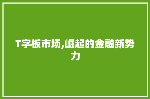 T字板市场,崛起的金融新势力
