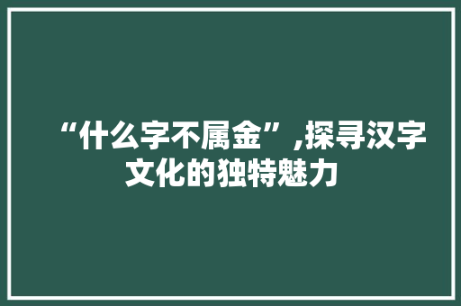 “什么字不属金”,探寻汉字文化的独特魅力