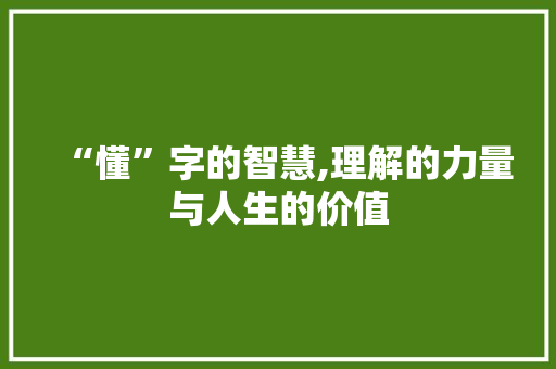 “懂”字的智慧,理解的力量与人生的价值