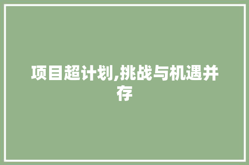 项目超计划,挑战与机遇并存
