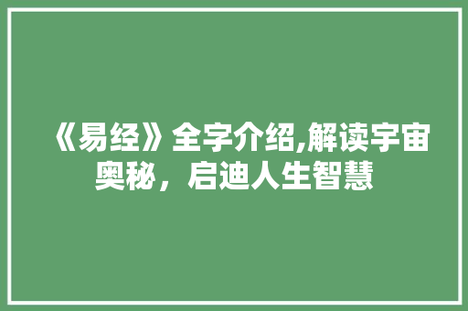 《易经》全字介绍,解读宇宙奥秘，启迪人生智慧