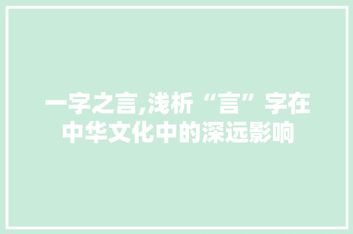 一字之言,浅析“言”字在中华文化中的深远影响 采访稿