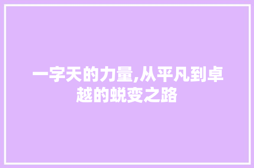 一字天的力量,从平凡到卓越的蜕变之路