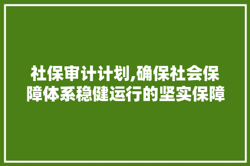 社保审计计划,确保社会保障体系稳健运行的坚实保障