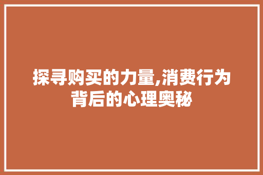探寻购买的力量,消费行为背后的心理奥秘