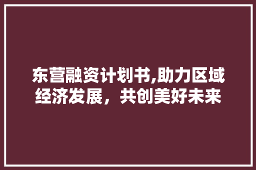 东营融资计划书,助力区域经济发展，共创美好未来