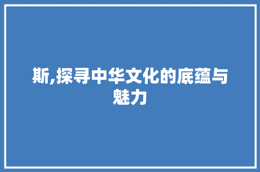 斯,探寻中华文化的底蕴与魅力