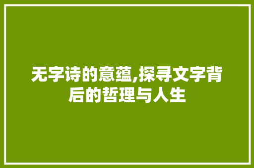 无字诗的意蕴,探寻文字背后的哲理与人生