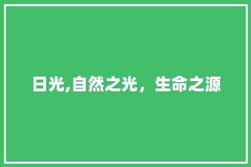 日光,自然之光，生命之源