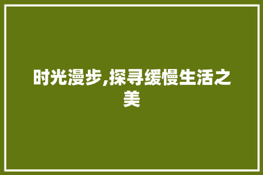 时光漫步,探寻缓慢生活之美