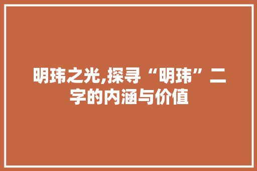 明玮之光,探寻“明玮”二字的内涵与价值