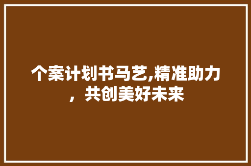 个案计划书马艺,精准助力，共创美好未来