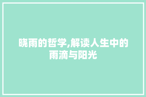 晓雨的哲学,解读人生中的雨滴与阳光