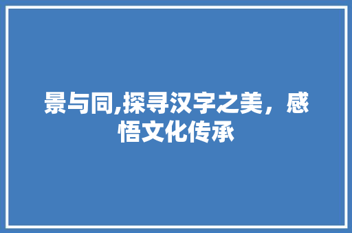 景与同,探寻汉字之美，感悟文化传承