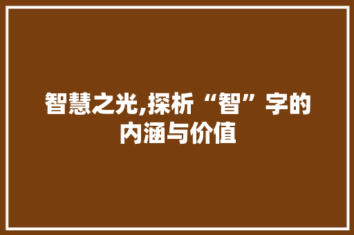 智慧之光,探析“智”字的内涵与价值