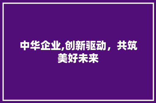 中华企业,创新驱动，共筑美好未来