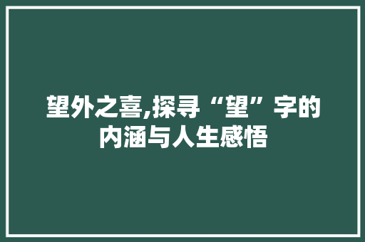 望外之喜,探寻“望”字的内涵与人生感悟