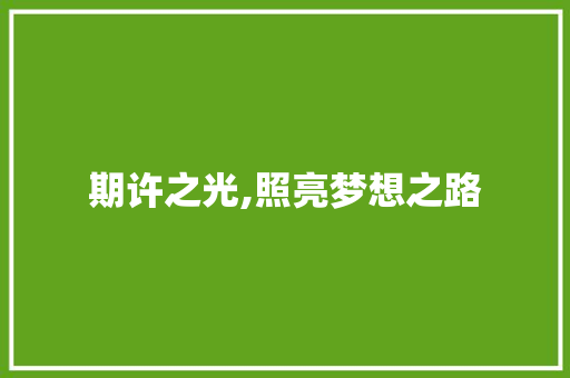 期许之光,照亮梦想之路