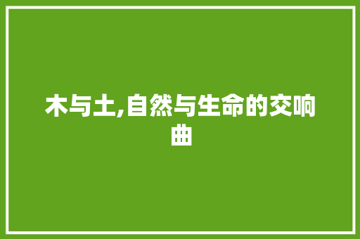 木与土,自然与生命的交响曲