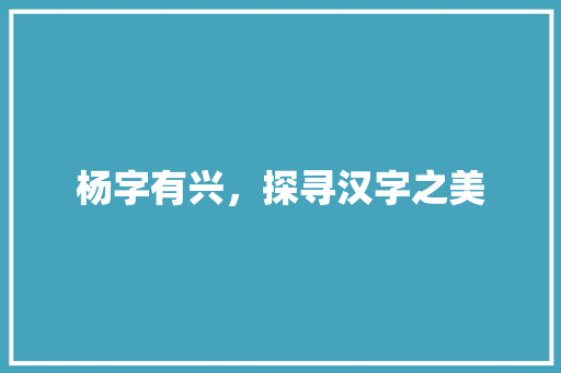 杨字有兴，探寻汉字之美