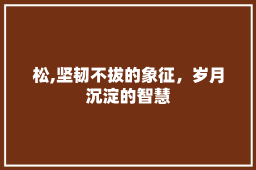 松,坚韧不拔的象征，岁月沉淀的智慧