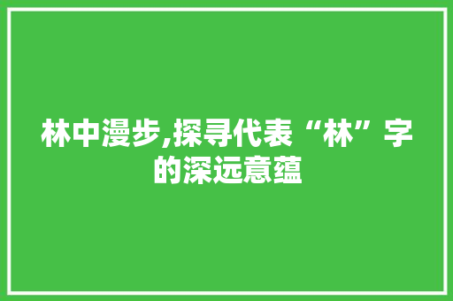 林中漫步,探寻代表“林”字的深远意蕴