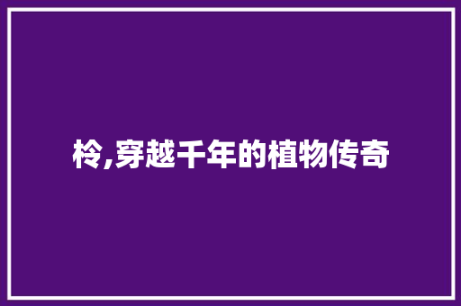 柃,穿越千年的植物传奇