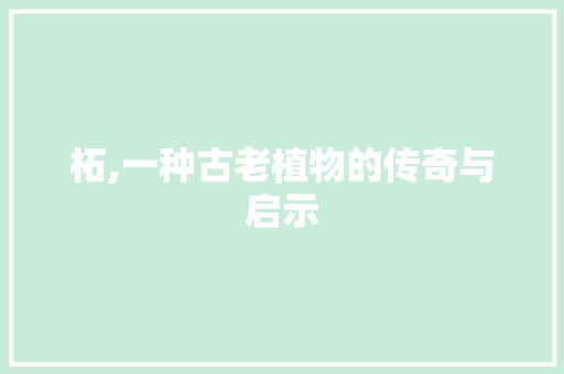 柘,一种古老植物的传奇与启示