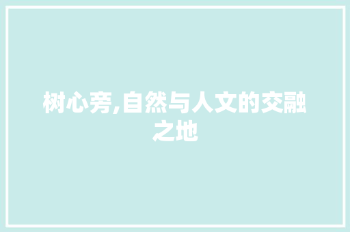 树心旁,自然与人文的交融之地