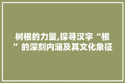 树根的力量,探寻汉字“根”的深刻内涵及其文化象征意义