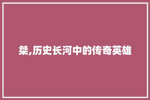 桀,历史长河中的传奇英雄