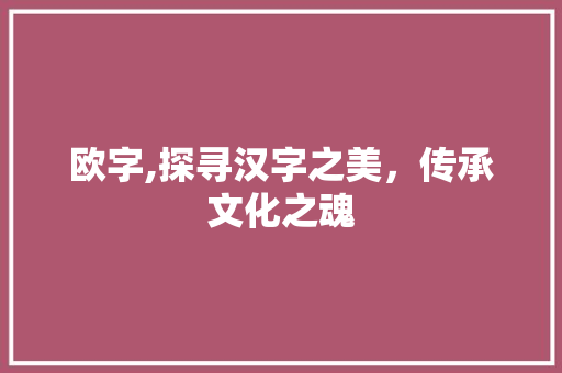 欧字,探寻汉字之美，传承文化之魂