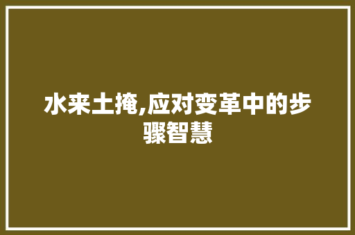 水来土掩,应对变革中的步骤智慧