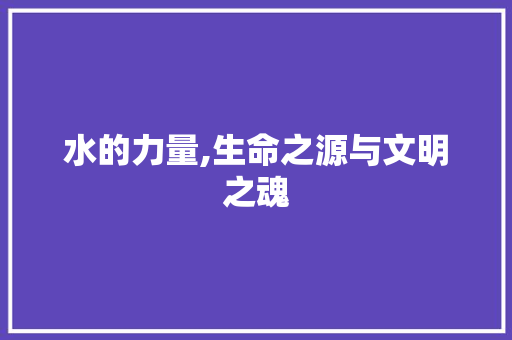 水的力量,生命之源与文明之魂