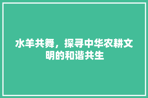 水羊共舞，探寻中华农耕文明的和谐共生