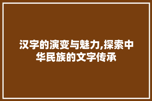 汉字的演变与魅力,探索中华民族的文字传承