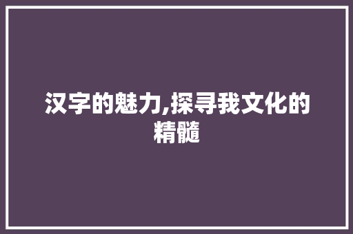 汉字的魅力,探寻我文化的精髓