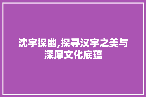沈字探幽,探寻汉字之美与深厚文化底蕴