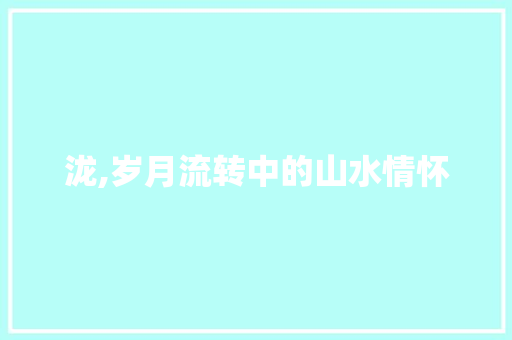 泷,岁月流转中的山水情怀