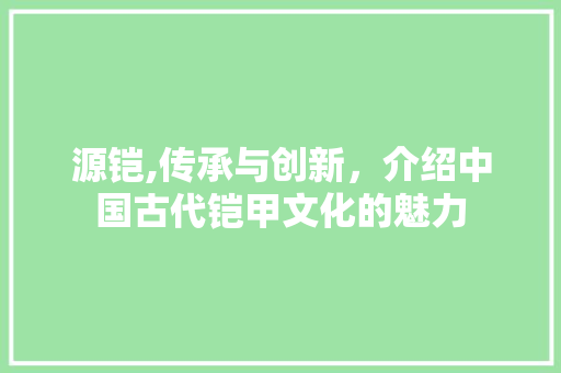 源铠,传承与创新，介绍中国古代铠甲文化的魅力