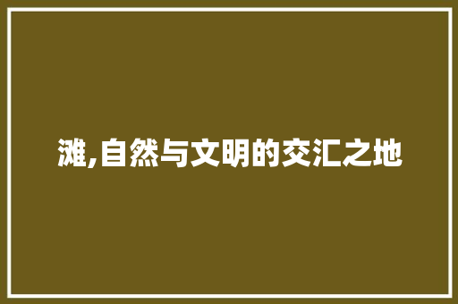 滩,自然与文明的交汇之地