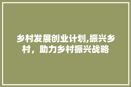 乡村发展创业计划,振兴乡村，助力乡村振兴战略