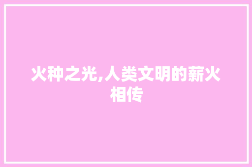 火种之光,人类文明的薪火相传