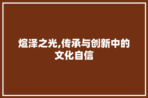 煊泽之光,传承与创新中的文化自信