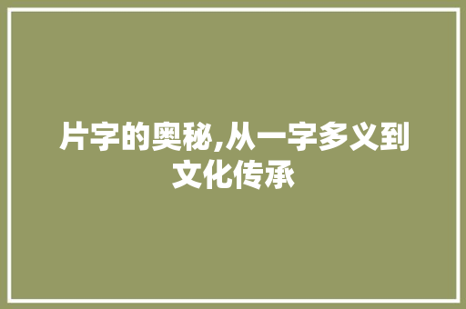 片字的奥秘,从一字多义到文化传承