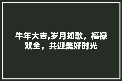 牛年大吉,岁月如歌，福禄双全，共迎美好时光 工作报告