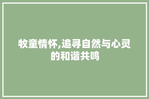 牧童情怀,追寻自然与心灵的和谐共鸣